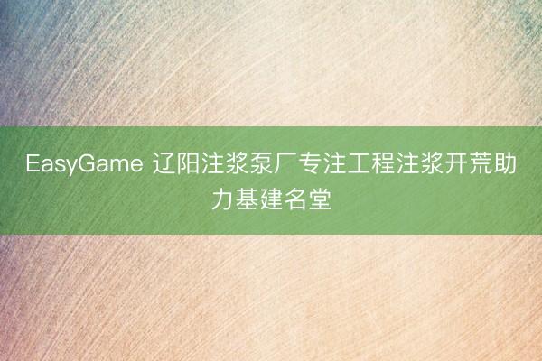 EasyGame 辽阳注浆泵厂专注工程注浆开荒助力基建名堂