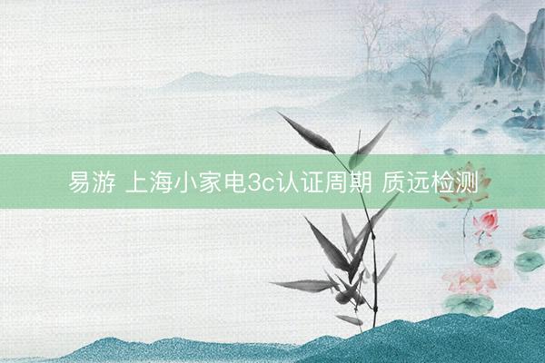易游 上海小家电3c认证周期 质远检测