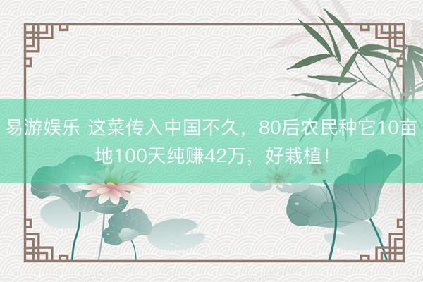 易游娱乐 这菜传入中国不久，80后农民种它10亩地100天纯赚42万，好栽植！