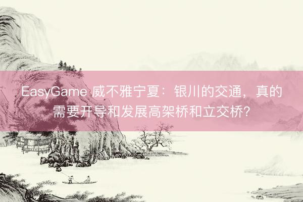 EasyGame 威不雅宁夏：银川的交通，真的需要开导和发展高架桥和立交桥？
