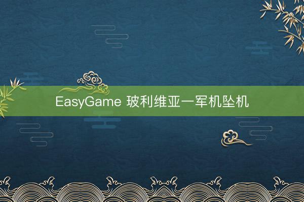 EasyGame 玻利维亚一军机坠机