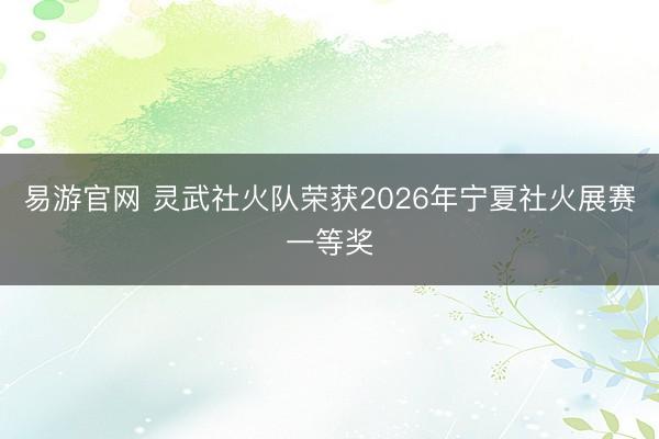 易游官网 灵武社火队荣获2026年宁夏社火展赛一等奖
