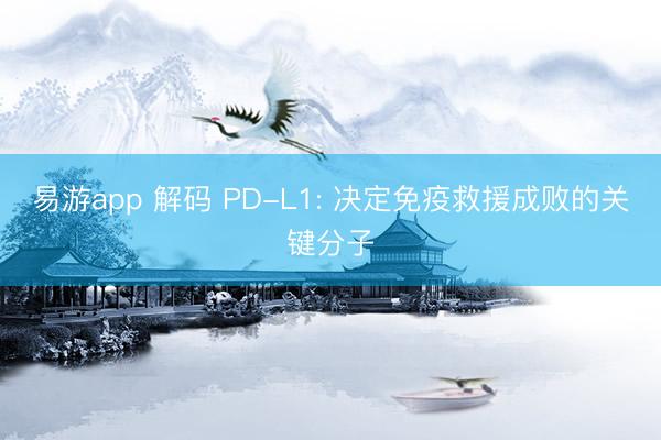 易游app 解码 PD-L1: 决定免疫救援成败的关键分子