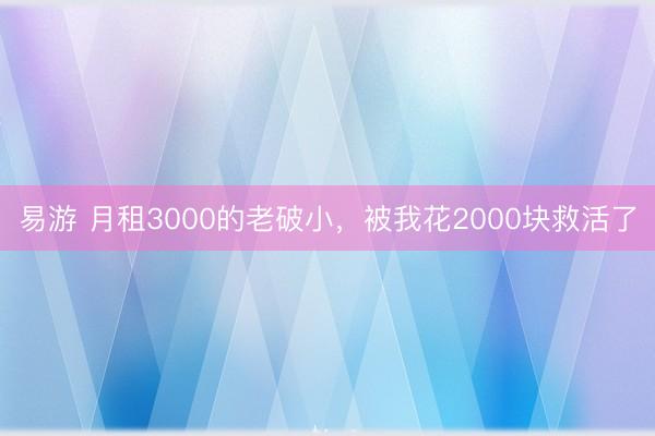 易游 月租3000的老破小，被我花2000块救活了