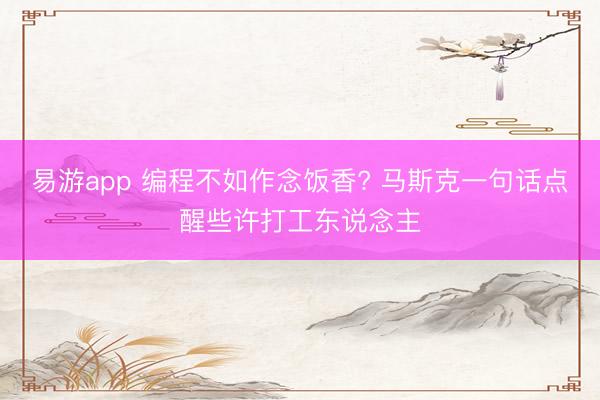 易游app 编程不如作念饭香? 马斯克一句话点醒些许打工东说念主