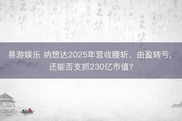 易游娱乐 纳想达2025年营收腰斩、由盈转亏， 还能否支抓230亿市值?