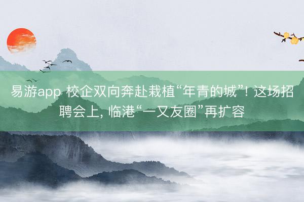 易游app 校企双向奔赴栽植“年青的城”! 这场招聘会上， 临港“一又友圈”再扩容