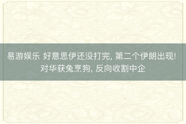 易游娱乐 好意思伊还没打完， 第二个伊朗出现! 对华获兔烹狗， 反向收割中企