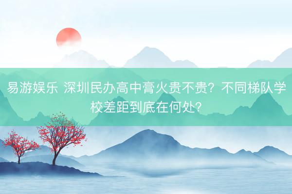 易游娱乐 深圳民办高中膏火贵不贵？不同梯队学校差距到底在何处？