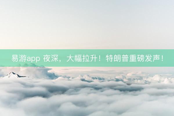 易游app 夜深，大幅拉升！特朗普重磅发声！