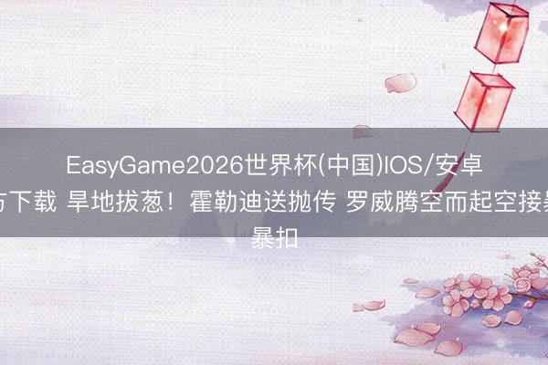 EasyGame2026世界杯(中国)IOS/安卓官方下载 旱地拔葱!霍勒迪送抛传 罗威腾空而起空接暴扣
