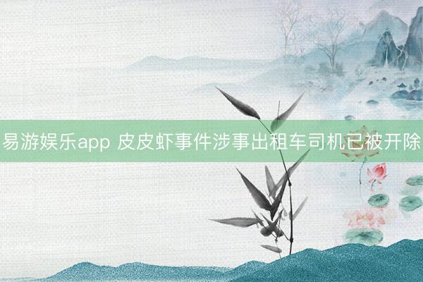易游娱乐app 皮皮虾事件涉事出租车司机已被开除