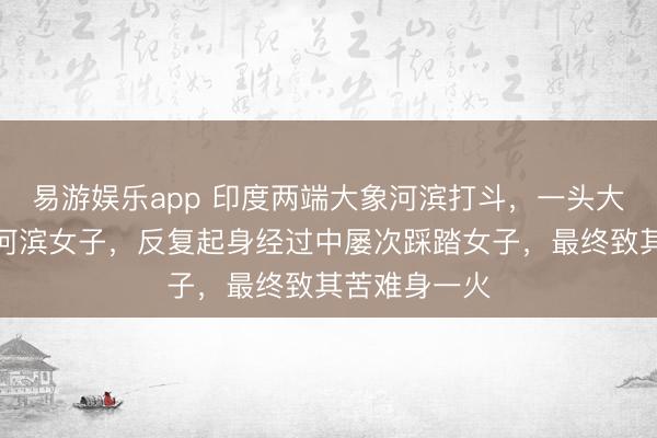 易游娱乐app 印度两端大象河滨打斗,一头大象跌倒砸中河滨女子,反复起身经过中屡次踩踏女子,最终致其苦难身一火