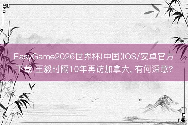EasyGame2026世界杯(中国)IOS/安卓官方下载 王毅时隔10年再访加拿大, 有何深意?
