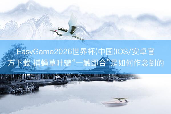 EasyGame2026世界杯(中国)IOS/安卓官方下载 捕蝇草叶瓣“一触即合”是如何作念到的