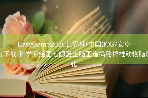 EasyGame2026世界杯(中国)IOS/安卓官方下载 科学家绘图七鳃鳗全脑图谱揭秘脊椎动物脑演化